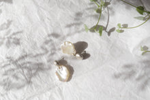 Φόρτωση εικόνας στο εργαλείο προβολής Συλλογής, Vithos earrings