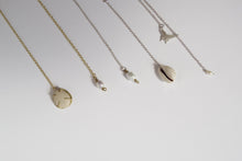 Φόρτωση εικόνας στο εργαλείο προβολής Συλλογής, Shell backchain