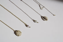 Φόρτωση εικόνας στο εργαλείο προβολής Συλλογής, Sea stone backchain