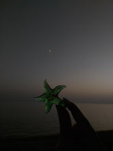 Φόρτωση εικόνας στο εργαλείο προβολής Συλλογής, Starfish green necklace
