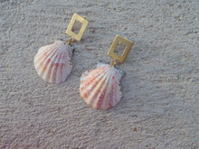 Φόρτωση εικόνας στο εργαλείο προβολής Συλλογής, Burano shells
